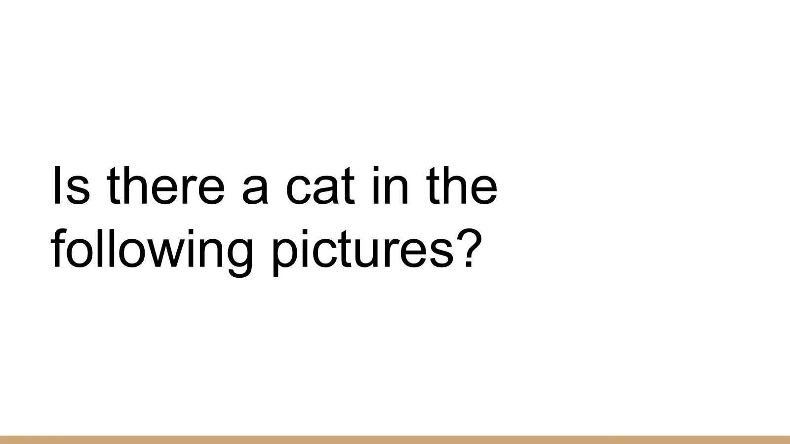 Slide asking, “Is there a cat in the following pictures?”