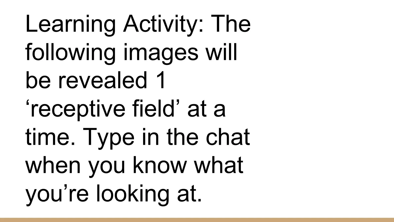 Instructions for a learning activity: images will be revealed one receptive field at a time; type in the chat when you know what you are looking at.