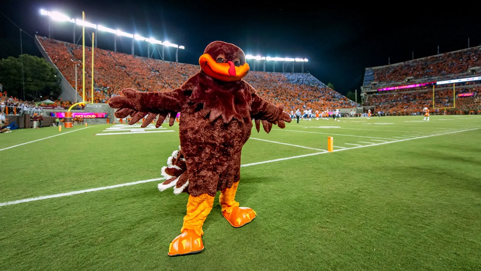 A fully revealed image from the activity: the Virginia Tech HokieBird mascot on a football field.